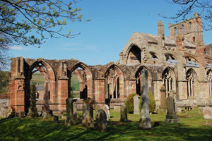 Die Ruine der Melrose Abbey steht mit steinernen Bögen des Hauptschiffs und höherem Chor inmitten eines Friedhofs mit alten Grabsteinen. Es ist Frühling, die Bäume schlagen aus, der Himmel ist blau.