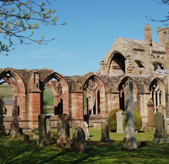 Die Ruine der Melrose Abbey steht mit steinernen Bögen des Hauptschiffs und höherem Chor inmitten eines Friedhofs mit alten Grabsteinen. Es ist Frühling, die Bäume schlagen aus, der Himmel ist blau.