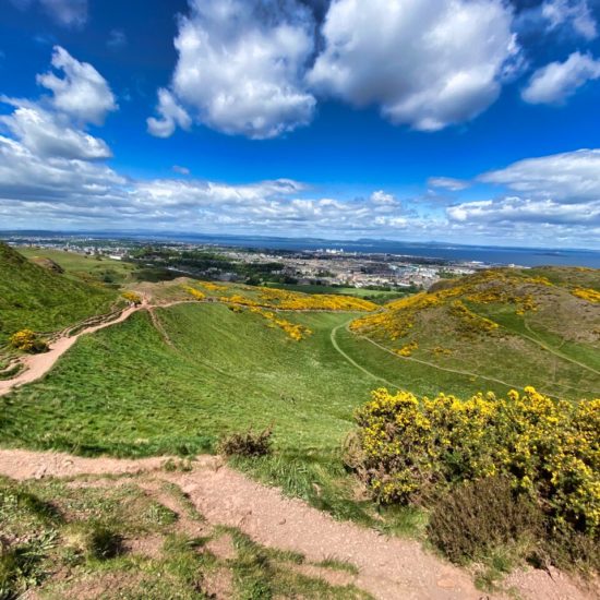 Blick von einem Berg mit grüner Wiese und gelben Ginsterstäuchern über die Stadt Edinburgh hinweg auf das Meer. Blauer Himmel mit Wolken.