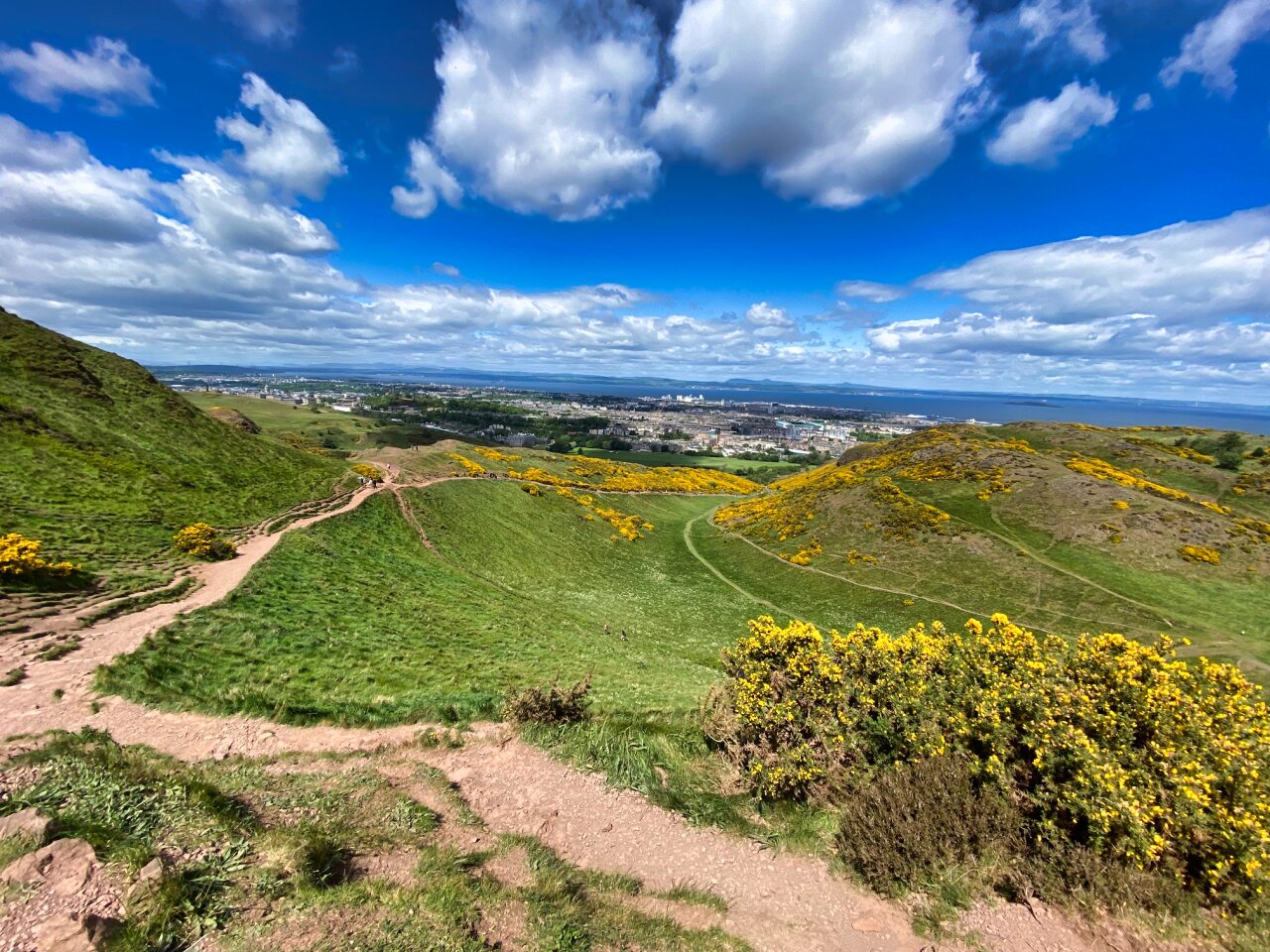 Blick von einem Berg mit grüner Wiese und gelben Ginsterstäuchern über die Stadt Edinburgh hinweg auf das Meer. Blauer Himmel mit Wolken.