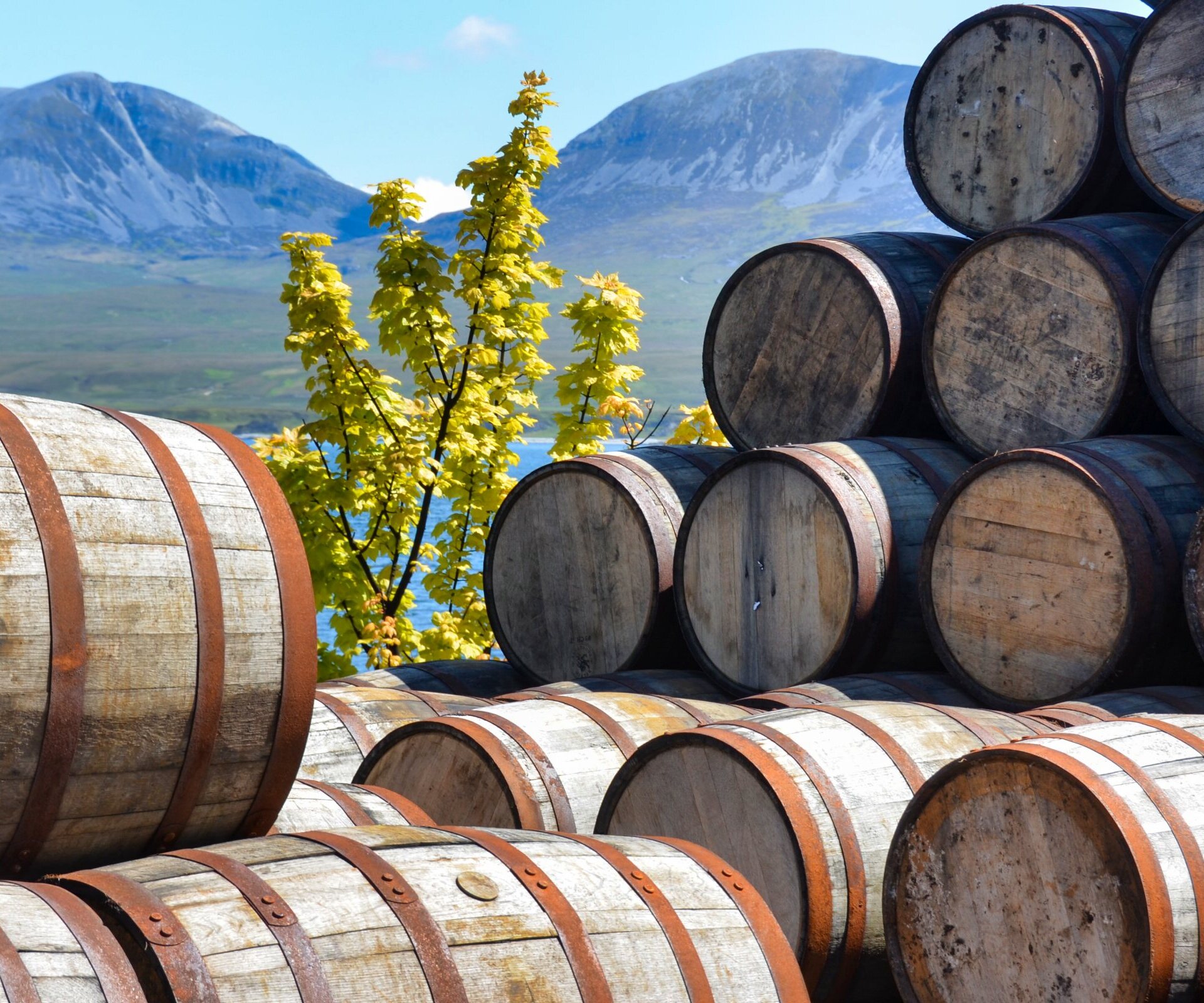 Gestapelte Whiskyfässer liegen bei Bunnahabhain auf Islay vor der Kulisse der Berge Paps of Jura.
