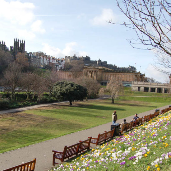 An den Hängen des Princes Gardens in Edinburgh blühen Krokusse. Der Blick geht über die National Gallery zur Old Town mit Edinburgh Castle im Hintergrund.