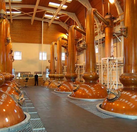 Das Stillhouse der Glenmorangie Distillery, in der auf beiden Seiten des Mittelganges sehr hohe Kupferbrennblasen aufgereiht sind.