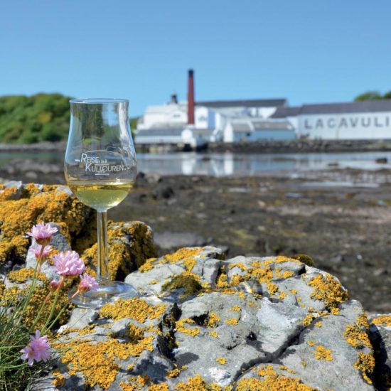 Whiskyglas mit Logo von Reisekultouren steht auf einem Felsen vor einem Streifen Wattenmeer. Im Hintergrund die weißen Gebäude der Lagavulin Distillery.