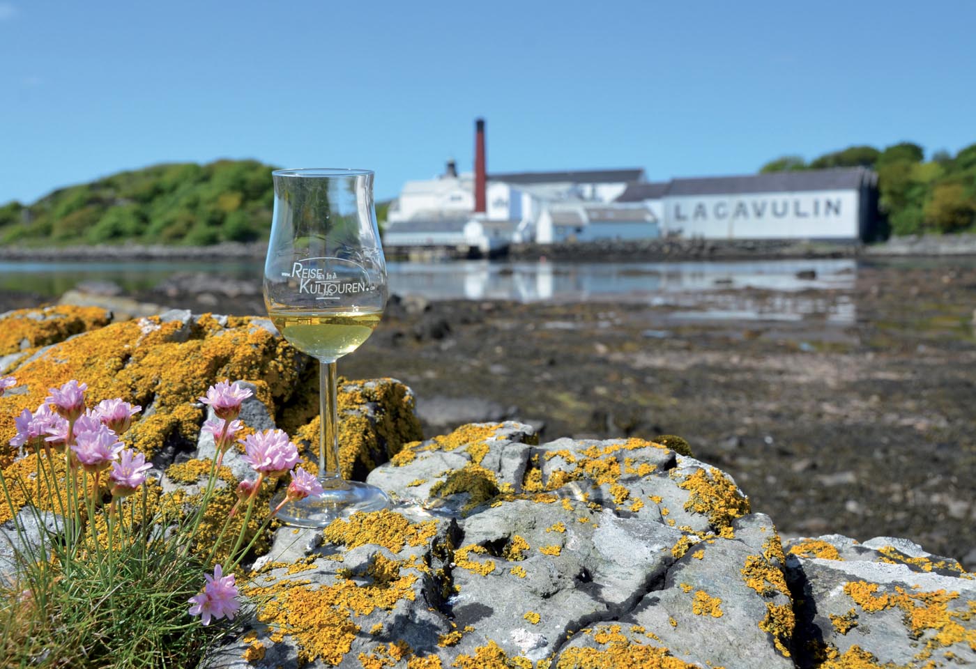 Whiskyglas mit Logo von Reisekultouren steht auf einem Felsen vor einem Streifen Wattenmeer. Im Hintergrund die weißen Gebäude der Lagavulin Distillery.