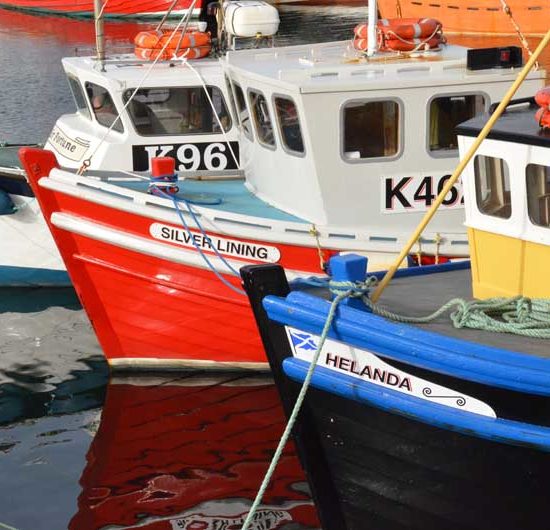 Drei bunte kleine Boote liegen vertäut im Hafen.