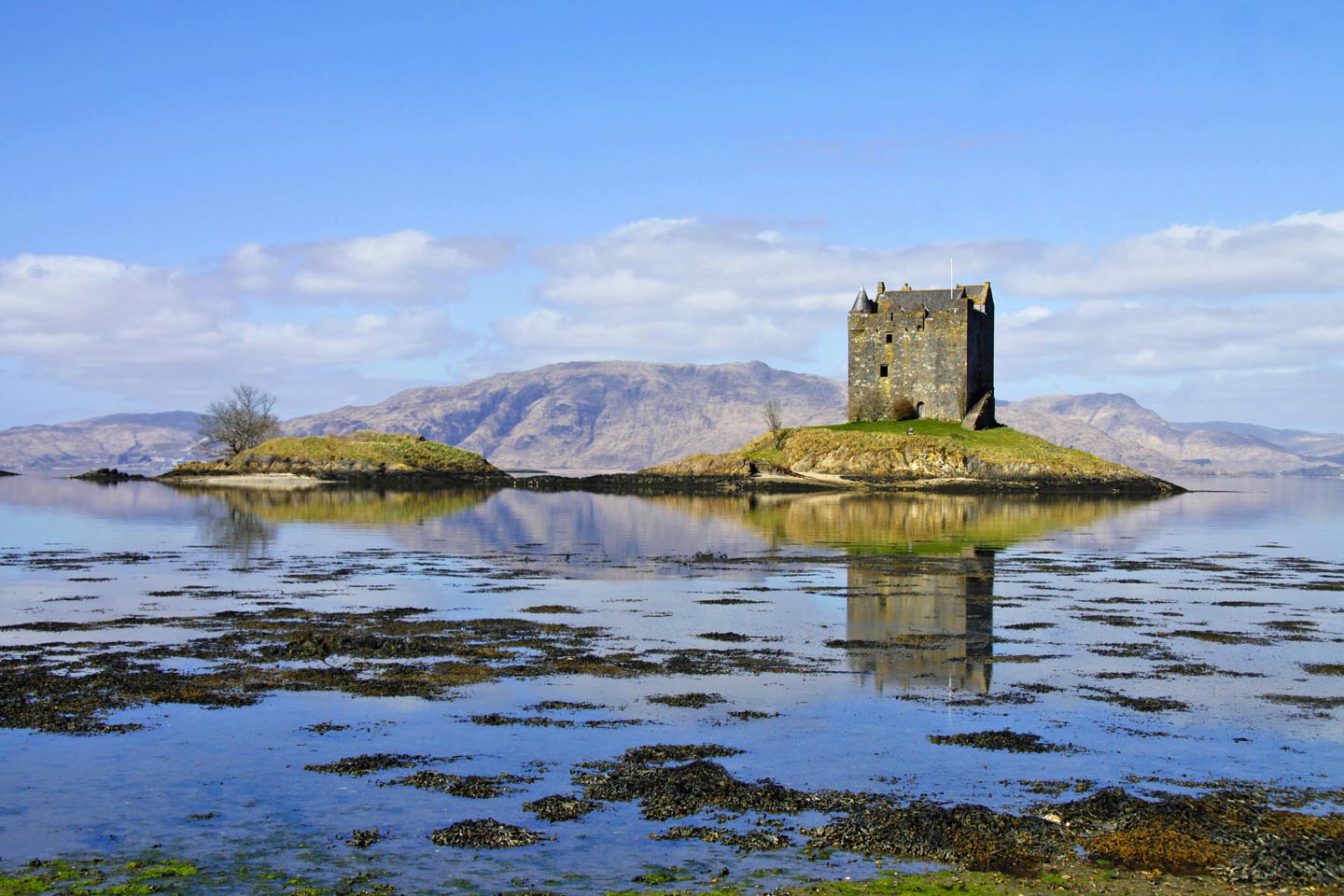 Schottische Burgruine Castle Stalker auf einer kleinen Insel inmitten von flachem Wasser und mit blauem Himmel.