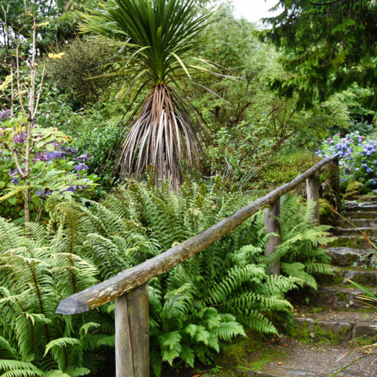 Pfad mit Steintreppe und Holzgeländer führt durch einen dicht bewachsenen Park mit blau blühenden Hortensien, Farn und Palme.