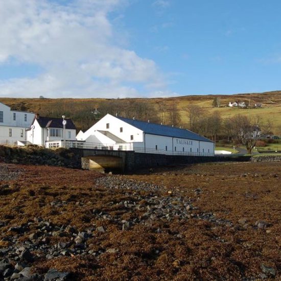 Weiß gestrichene Talisker Distillery mit Seetang im Vordergrund