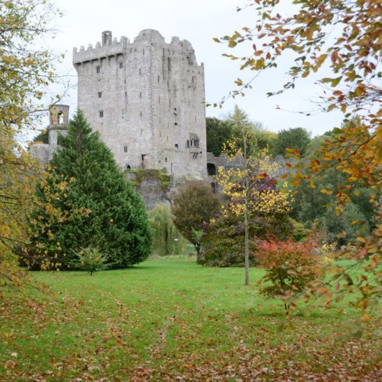 Die Blätter fallen im herbstlichen Park mit dem Wehrturm von Blarney Castle im Hintergrund.