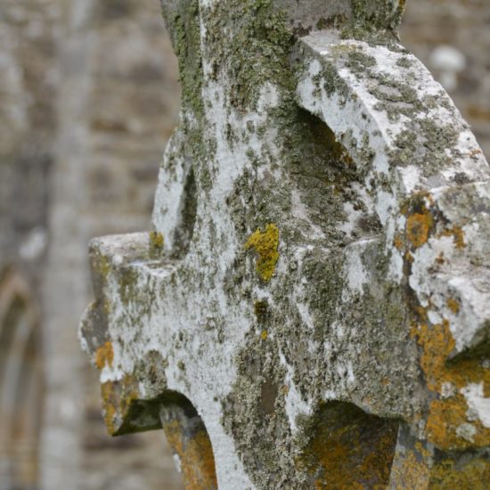 Detailfoto von einem irisch-keltischen Steinkreuz, das mit Moosen und Flechten bewachsen ist.