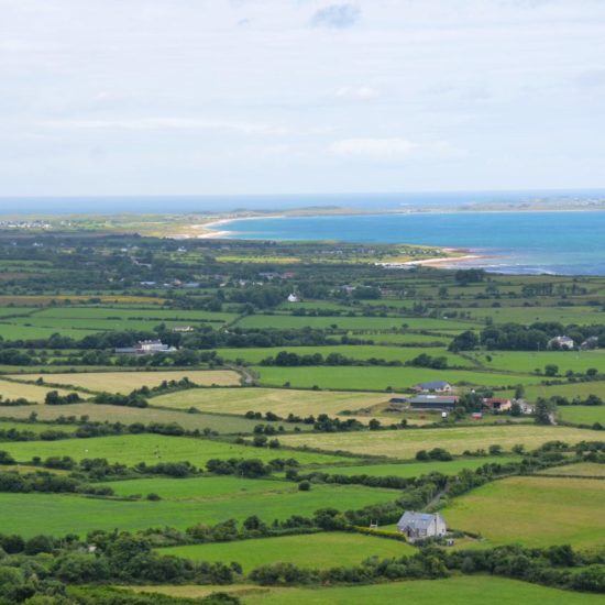 Blick von oben auf Wiesen und Weiden, die von Hecken begrenzt werden. Im Hintergrund das blaue Meer und die Strände der Dingle-Halbinsel.