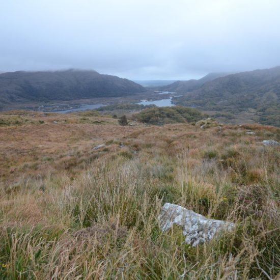 Panoramabild mit einer Seenlandschaft im herbstlich befärbten bergigen Moorland.