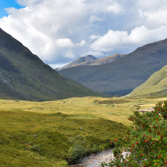 Eine Eberesche im Vordergrund ist der einzige Baum vor der Kulisse der unbewaldeten Berge, die ein Flusstal säumen.