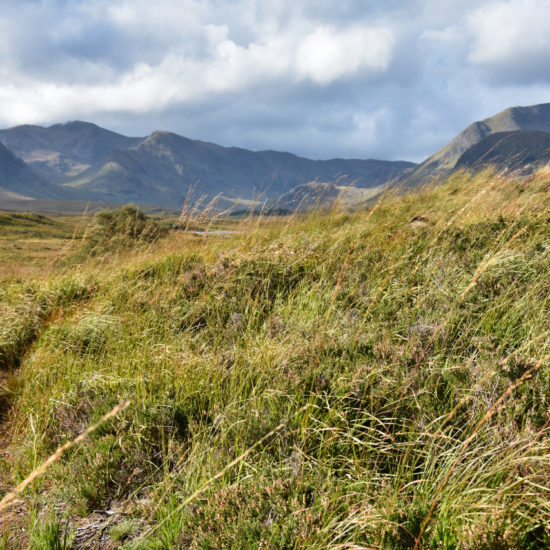 Ein schmaler Pfad führt durch grasbewachsenen Hügel, mit den schottischen Highlands im Hintergrund.