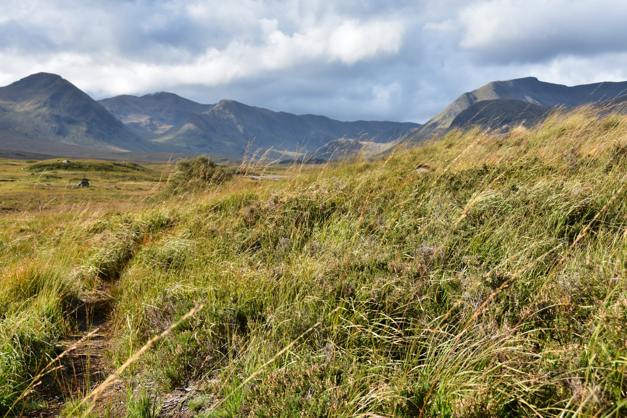 Ein schmaler Pfad führt durch grasbewachsenen Hügel, mit den schottischen Highlands im Hintergrund.