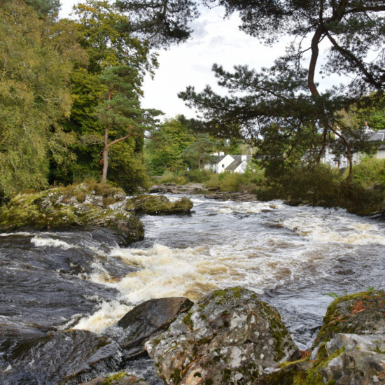 Fluss mit Felsen, Stromschnellen und niedrigem Wasserfall, umrahmt von Bäumen.
