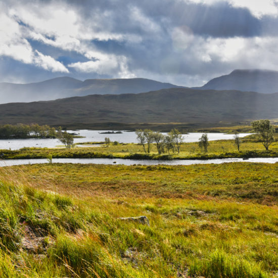 Gegenlichtstimmung über einer Moorfläche mit Gras- und Wasserflächenden Bergen der schottischen Highlands im Hintergrund.