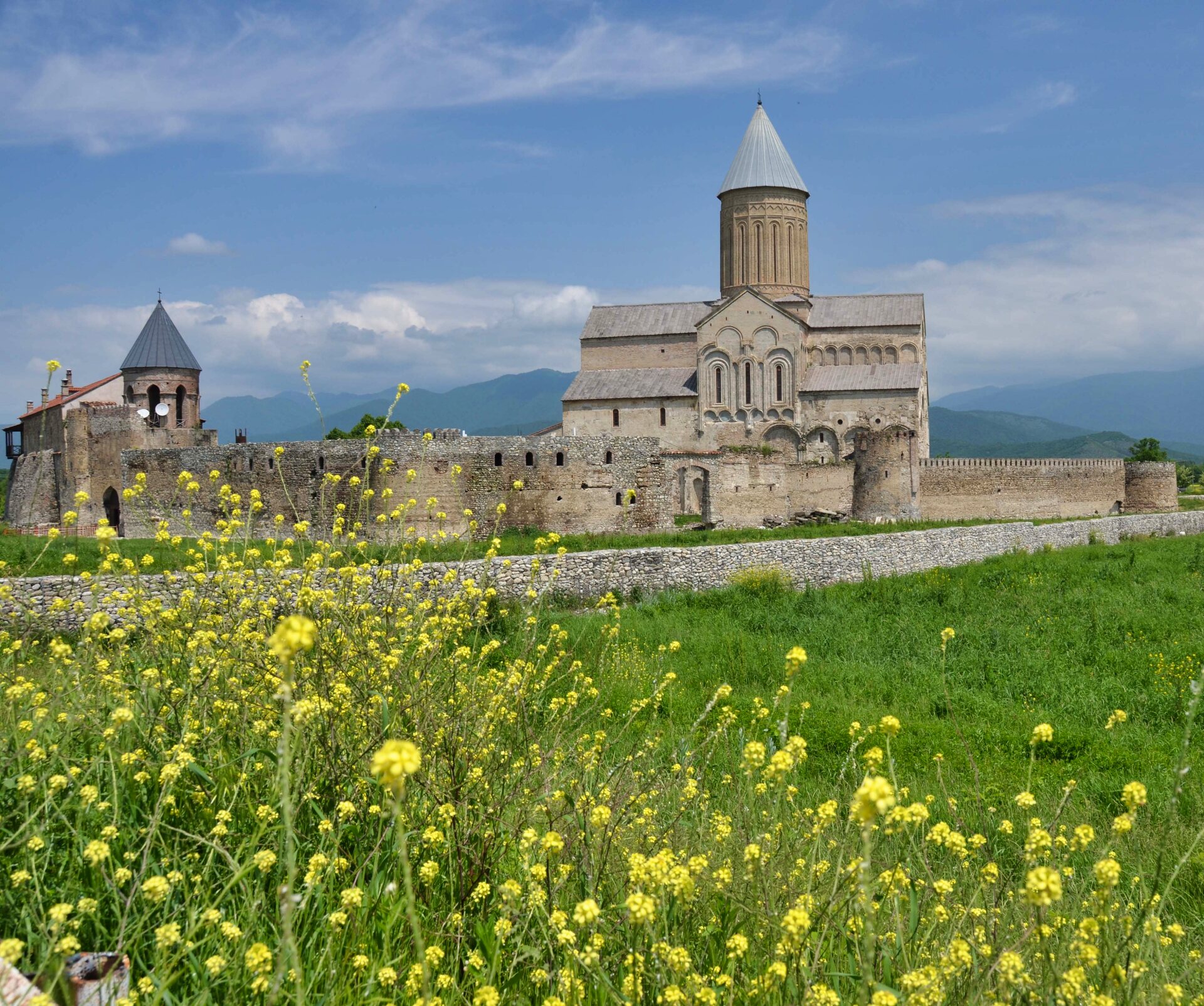 Gelbe Blumen blühen auf einer Wiese vor einer Klosteranlage aus hellem Naturstein. Die Anlage hat den charakteristischen Rundturm georgischer Sakralarchitektur.